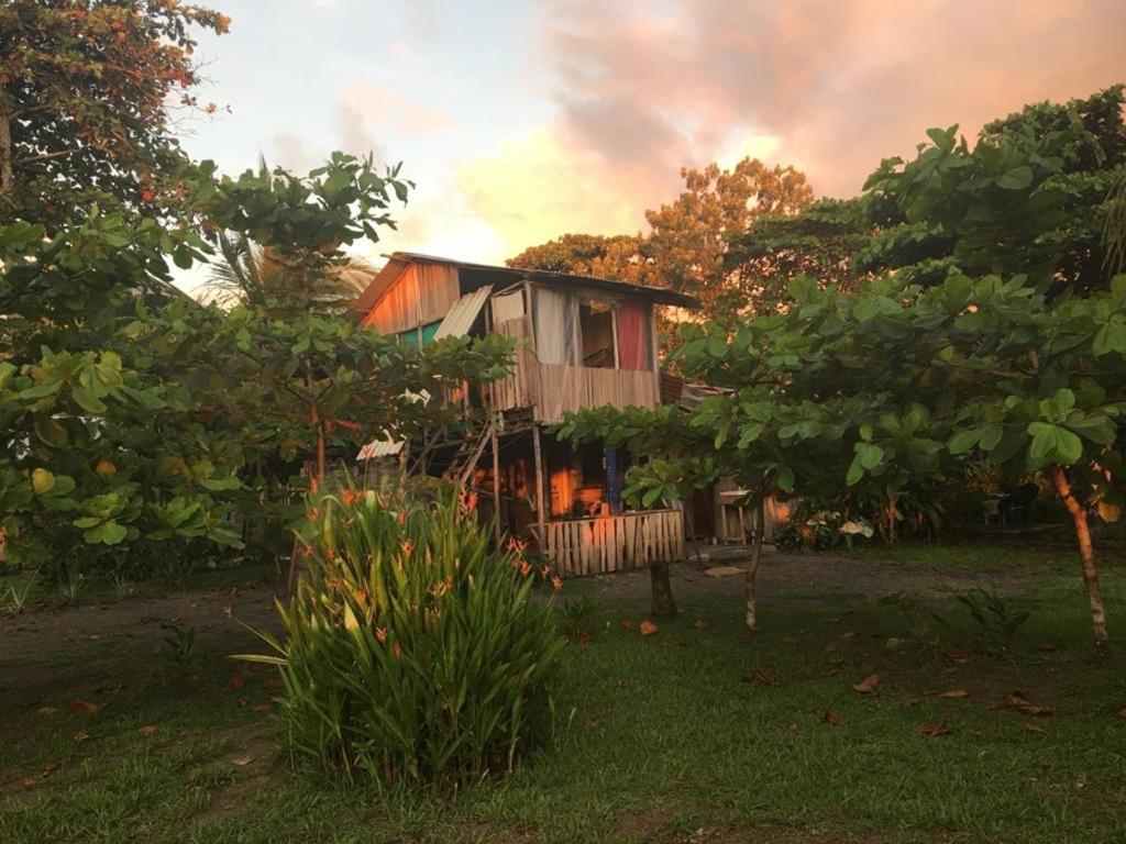 מלון קפוס Miguel Surf Camp מראה חיצוני תמונה