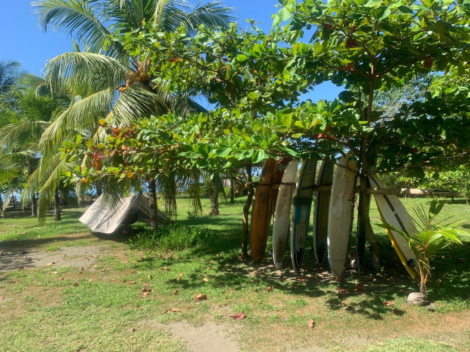 מלון קפוס Miguel Surf Camp מראה חיצוני תמונה