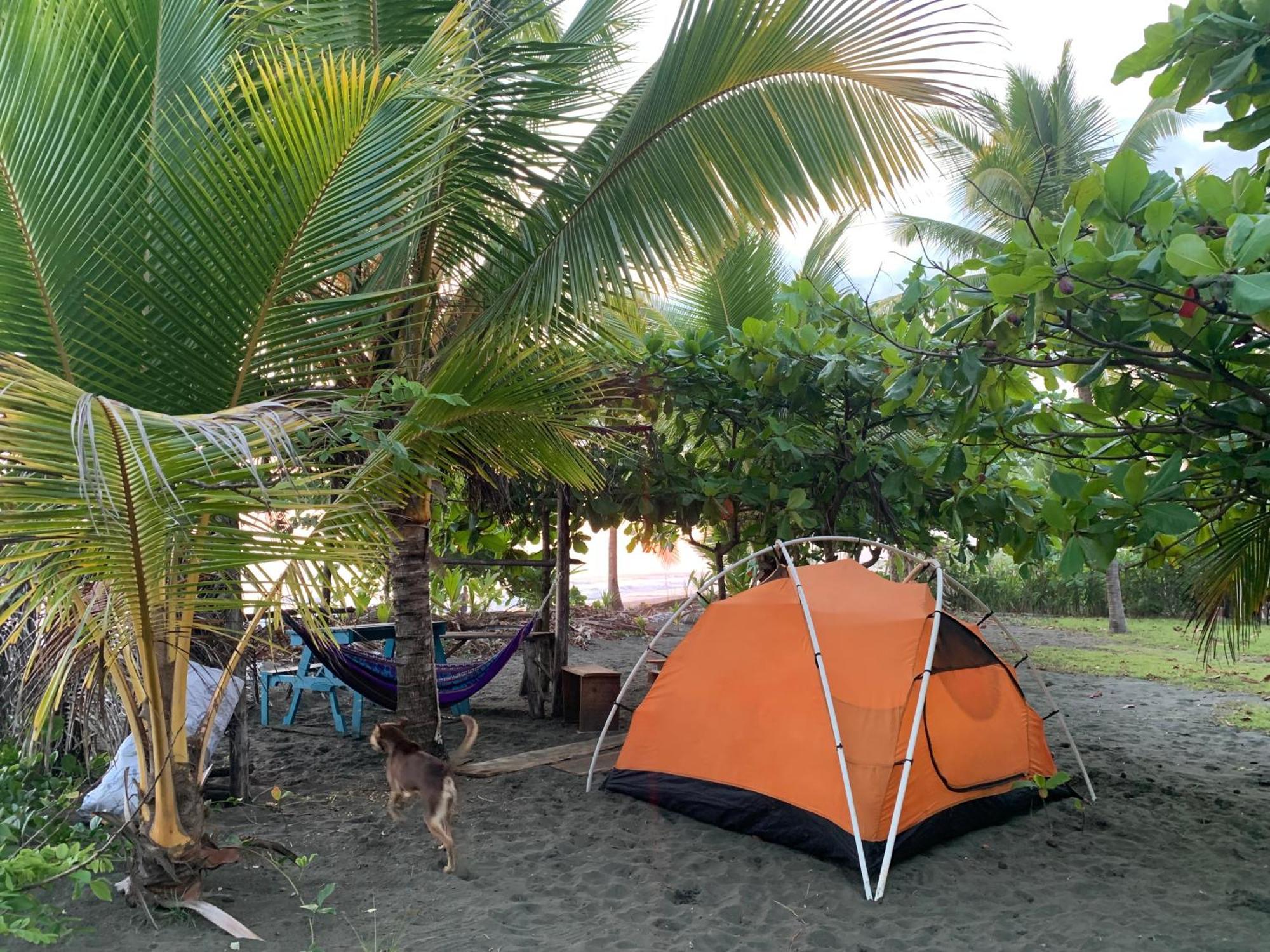 מלון קפוס Miguel Surf Camp מראה חיצוני תמונה