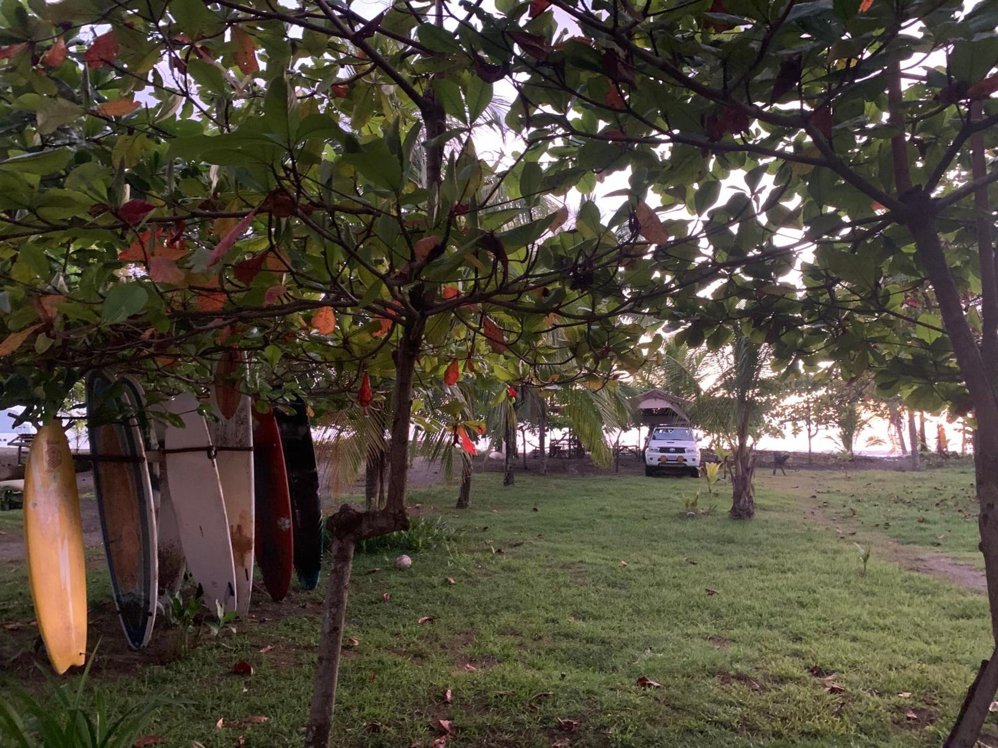 מלון קפוס Miguel Surf Camp מראה חיצוני תמונה